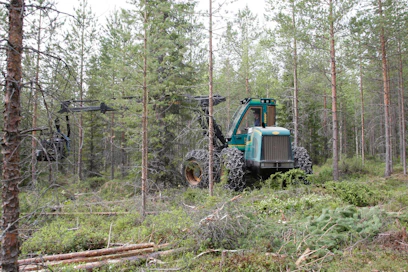 Metsien hoito parantaa metsän hiilinielua.