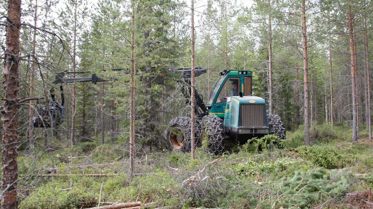 Metsien hoito parantaa metsän hiilinielua.