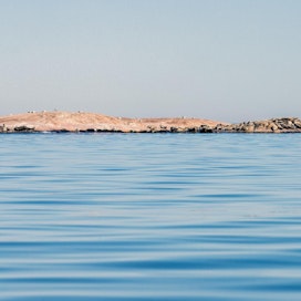 Toukokuun puolessa välissä Suomenlahden luodolle on kerääntynyt satakunta harmaahyljettä lepäämään karvanlähdön ajaksi. Joitakin yksilöitä näkyy myös vedessä.