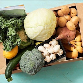 Vennerin ruoka-apupaketeissa on muun muassa kotimaisia kauden kasviksia, hedelmiä ja muita terveellisiä raaka-aineita.