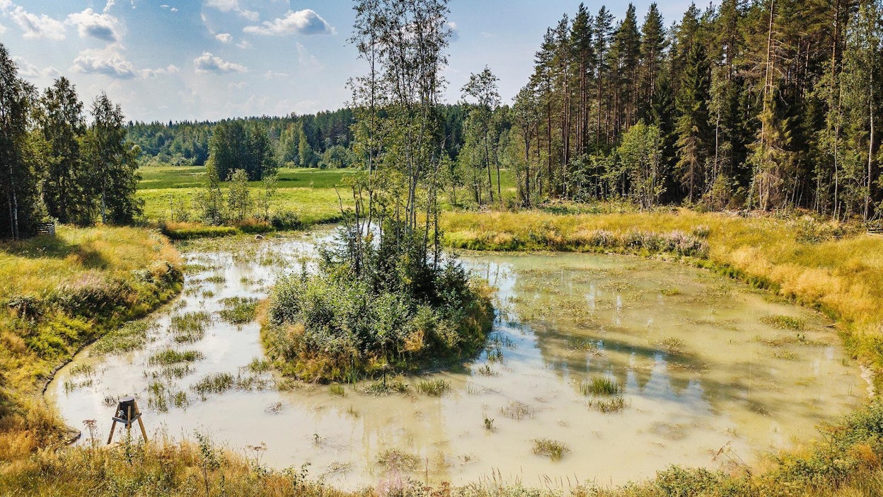 Luonnonvarakeskuksen tutkimuksen mukaan metsästäjät kuljettavat vesistöihin noin kuusi miljoonaa kiloa viljaa vuodessa vesilintujen ruokkimiseksi.