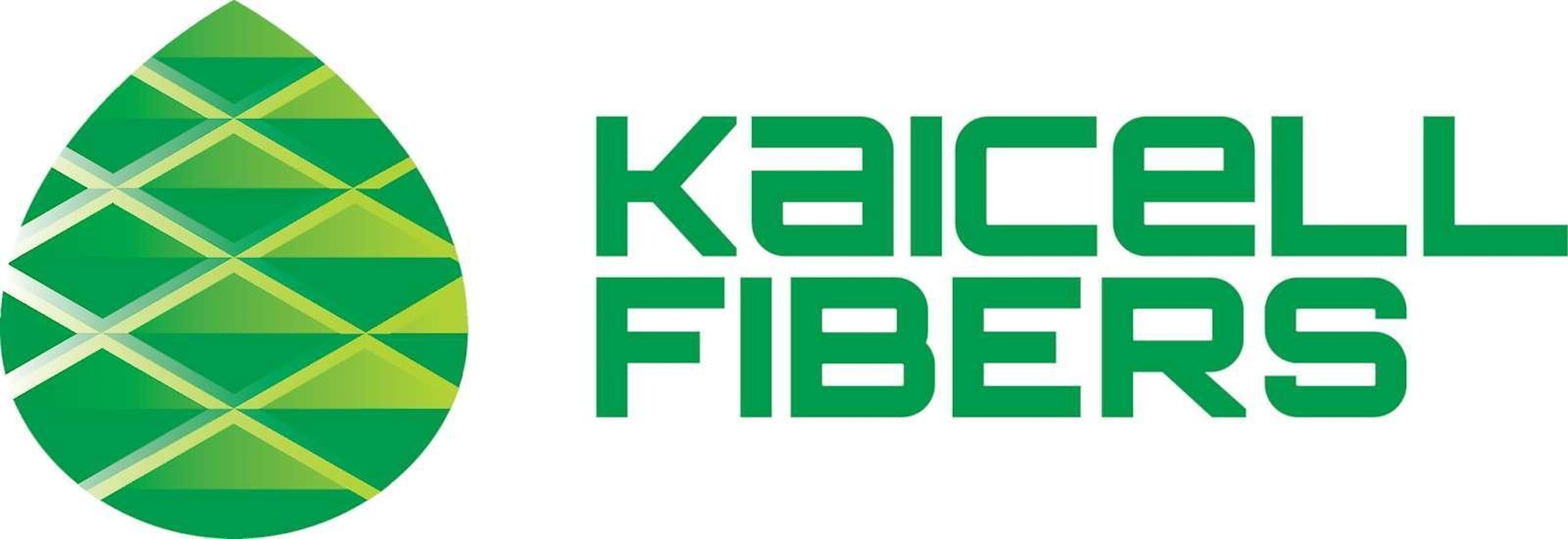 KaiCell Fibers suunnittelee Paltamoon Kainuuseen sellupohjaista biojalostamoa.