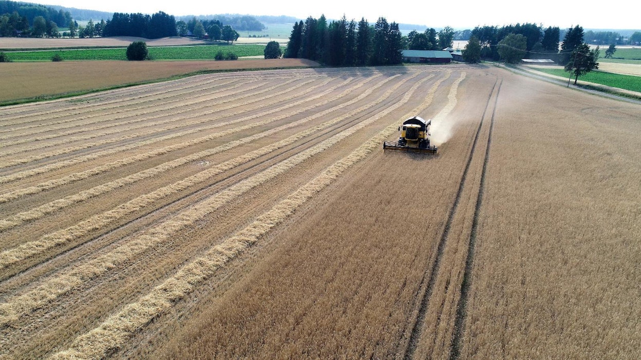 Uuteen puimuriin investoiminen kannattaa harkita tarkkaan.