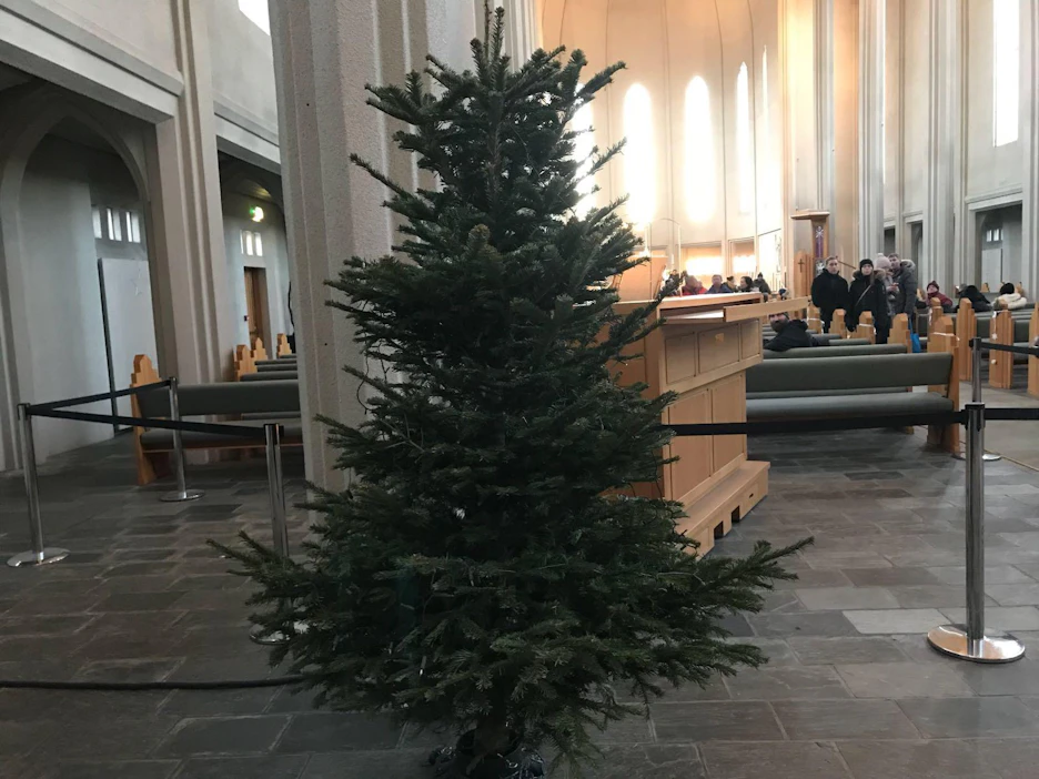 Joulukuusi Reykjavikin tunnetuimmassa maamerkissä, Hallgrímskirkja-kirkossa.