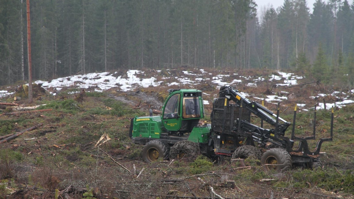 Tahvosen mukaan hiili ei näytä sitoutuvan suomalaisiin puutuotteisiin pitkäksi ajaksi.