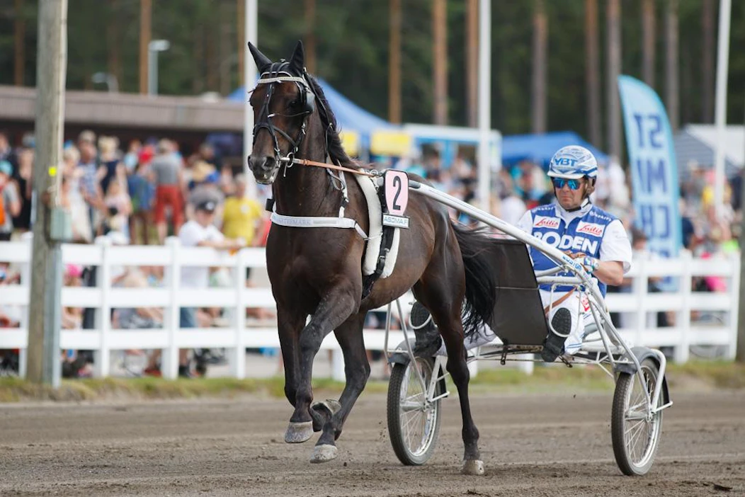Makethemark ja valmentajansa Petri Salmela ensimmäisessä lämmityksessä ennen voitokasta St Micheliä viime kesänä.