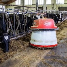 Suomessa maidon hinnannousu on ollut hidasta verrattuna esimerkiksi Hollantiin.