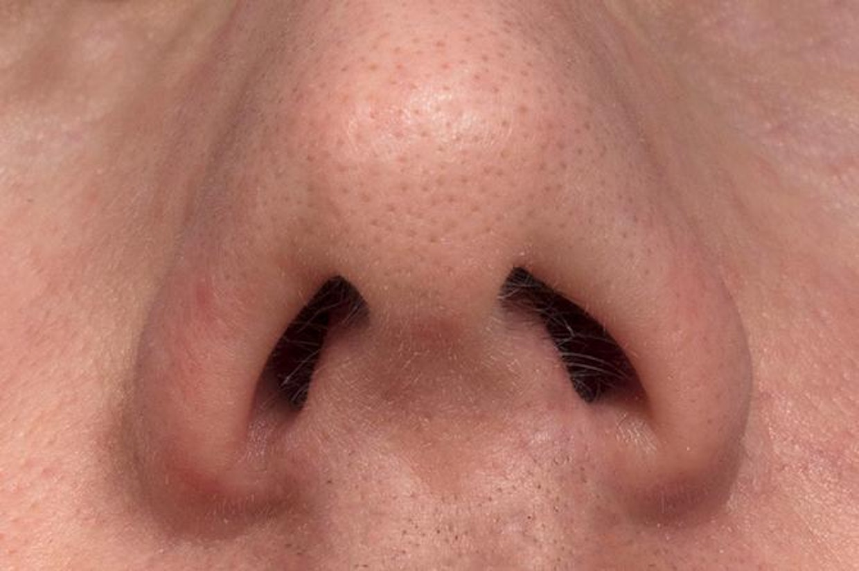 Nenä säätelee hengitystilavuutta tehokkaasti.