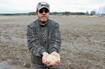 Ylistarolainen viljelijä Mika Saari kokeili viime vuonna ensi kerran hernettä 10 hehtaarin alla niin hyvin kokemuksin, että viljely jatkuu tänä vuonna samansuuruisella viljelyalalla. Hän aikoo hyödyntää viljelyssä kaikki uudet mahdollisuudet kuten Como-lisäravinteen ja kasvunsääteen käytön.
