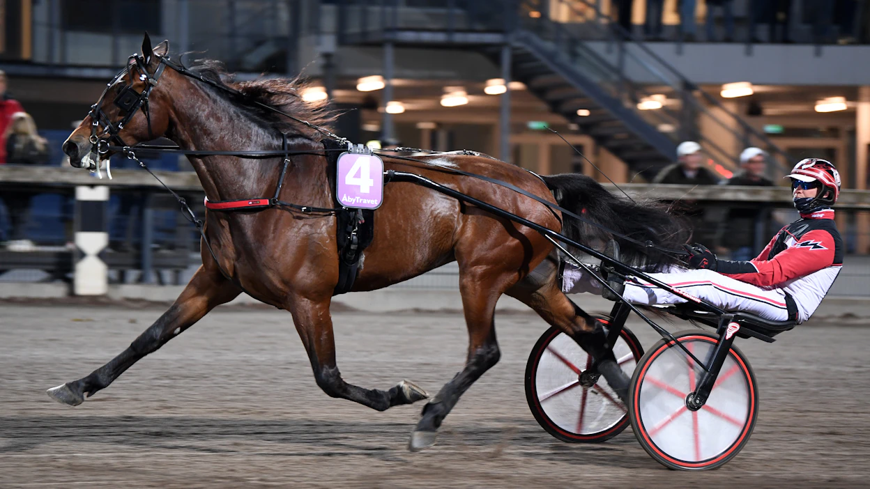Tobias J Gustafsson on ajanut kaikki Lozano di Quattron uran startit. Ruuna on voittanut uransa 46 startista 14. Ennätys on 09,9aly ja voittosumma 1,8 miljoonaa kruunua.