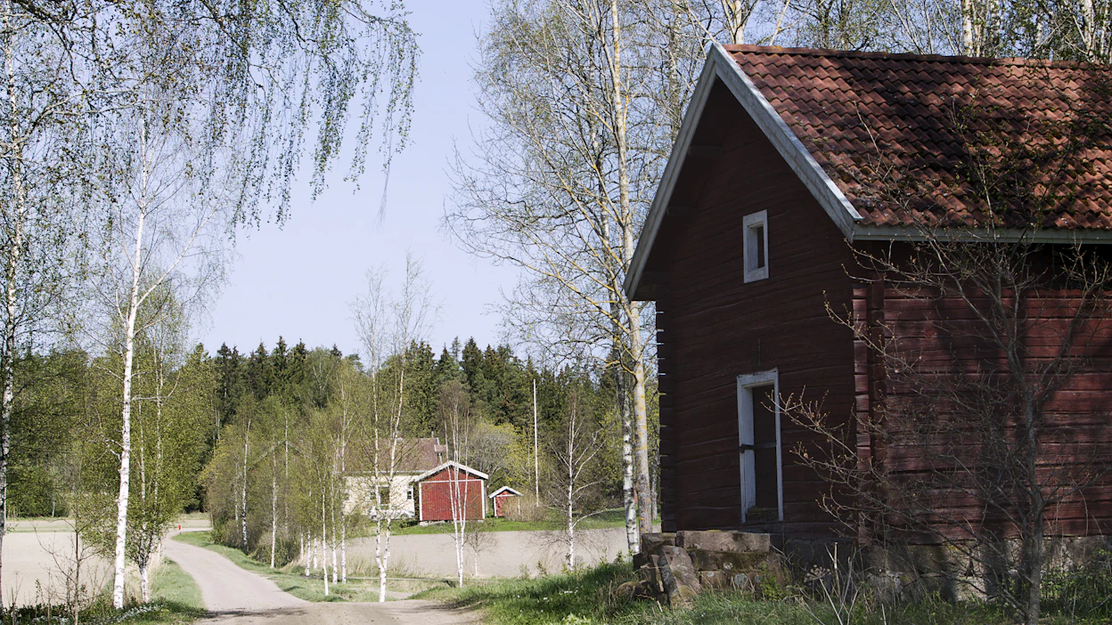 Paula Nykäsen mielestä suomalaisissa viljelijöissä on ollut aina malliesimerkkejä luontotyön sitomisesta maatilayrittäjän arkeen.