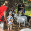 Avoimet maatilat -tapahtuma täytti monen hämäläistilan pihat viime lauantaina.