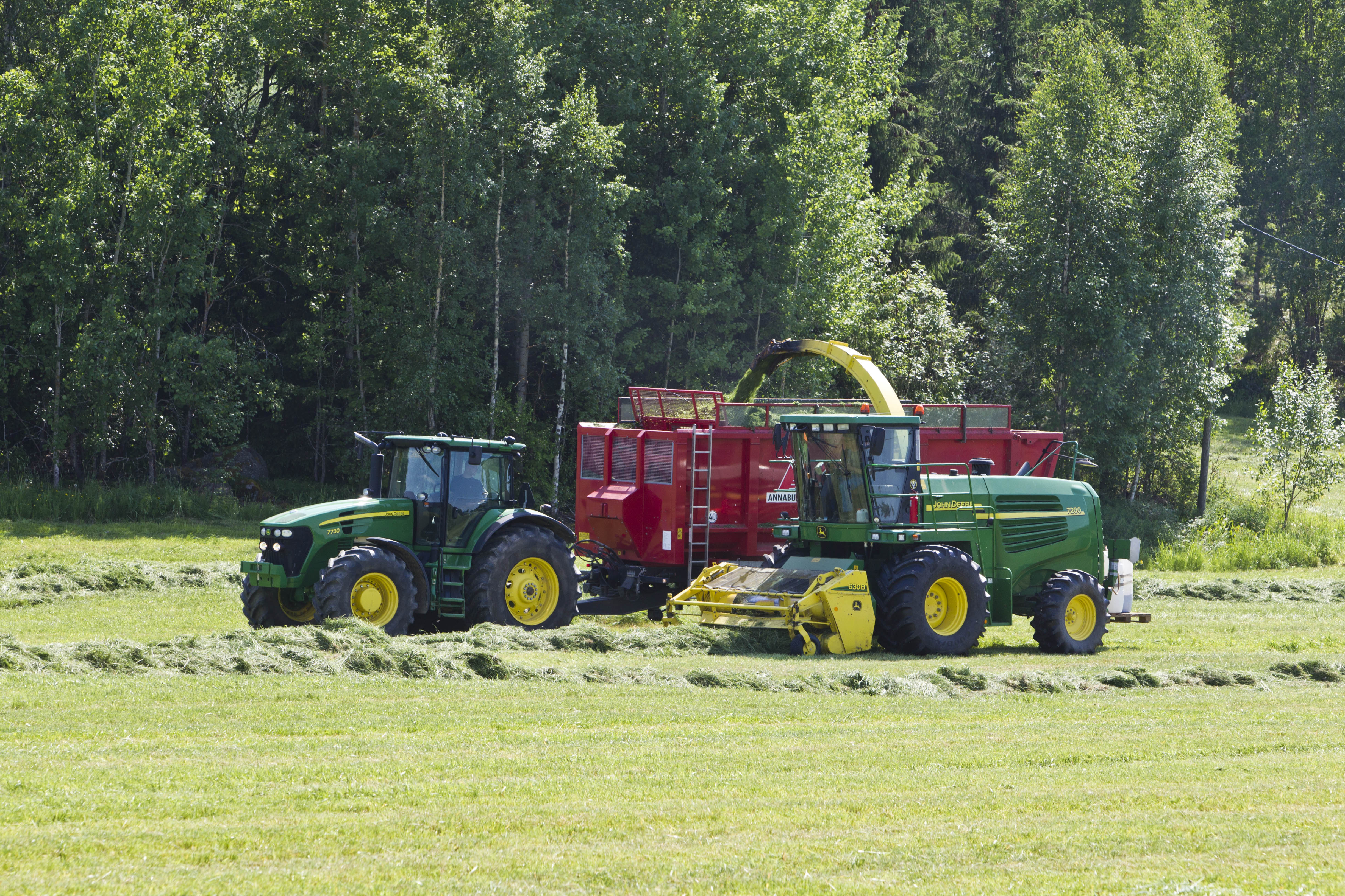 Säilörehun tekoa. Kuvituskuva.