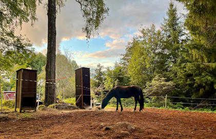 Heinän ulkoasu ei kerro sen ravintoarvoista, joten hevosen tasapainoisen ruokinnan varmistamiseksi heinäanalyysi ja siihen perustuva ruokintasuunnitelma takaavat tarpeet täyttävän ruokinnan. 