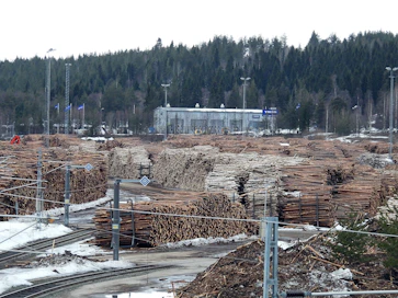 Rovaniemen terminaaliin mahtuu noin 170 000 kuutiometriä raakapuuta.