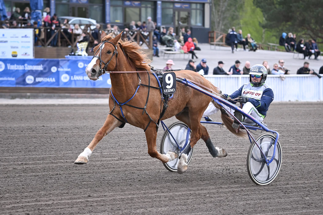 Perjantain Kainuu-ajo on Paavolan Hurmokselle kauden kolmas startti. Tämän vuoden voitto- ja totosijatili on ruunalta vielä avaamatta.