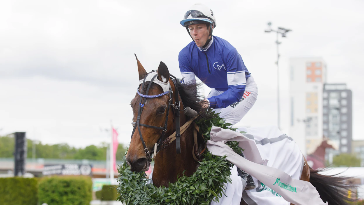 Monté eli raviratsastus on suosittua myös Pohjoismaissa. Kuvassa viime vuoden voitokkain ravijockey Mathieu Mottier voittajana Ruotsin ravipyhätössä Solvallassa Elitloppet-viikonlopun Monté-eliitissä. Sunnuntaina Mottier on suosikki voittamaan isoimman montékisan Pariisissa.