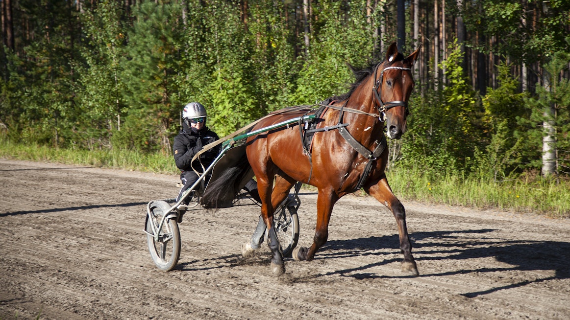 Veera Vekola on tähdännyt koko kevään Uumajan lähtöön. Kaiken pitäisi olla kunnossa muutama päivä ennen Uumajan starttia.