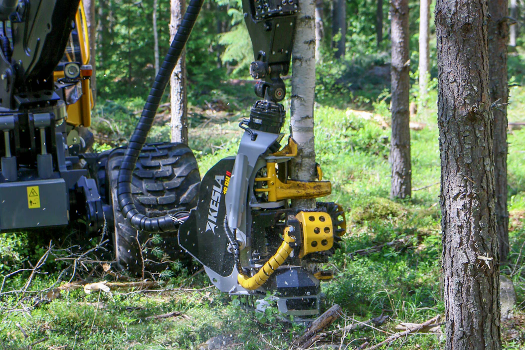 Metsästä on viime vuosina tullut yksi Suomen talouden harvoista valopilkuista. Metsäsektori työllistää suoraan noin 2,5 prosenttia kaikista Suomen työllisistä.