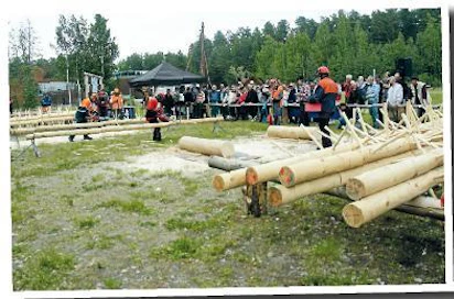 Esa Tumelius joutui lähtemään karsintavuoroonsa heti ensimmäisessä parissa. Suoritus: kolme oksaryhmää ja 11,48 sekuntia.