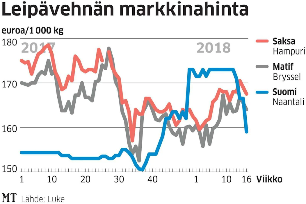 Vehnän hinta on ollut Suomessa jyrkässä laskussa. Viljojen hinnat ovat nyt kuitenkin viime kevättä korkeampia.