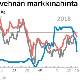 Vehnän hinta on ollut Suomessa jyrkässä laskussa. Viljojen hinnat ovat nyt kuitenkin viime kevättä korkeampia.