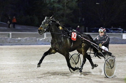 Kuvassa Cissi Fastback täräytti kolme viikkoa sitten 1.11-vauhteja ylivoimavoittoon. Nelivuotias tamma on Ravinetin näkemysvarma keskiviikon T65-peliin.