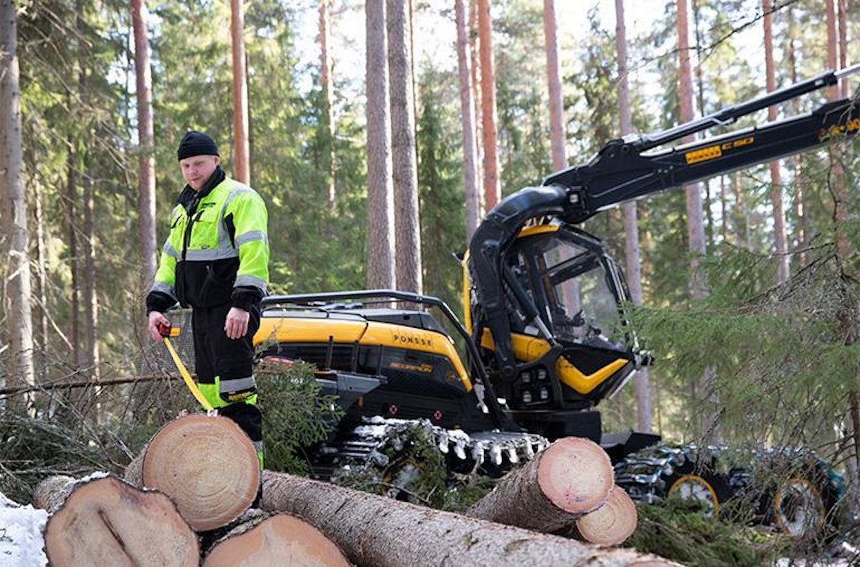 TS-Metsän Joonas Säämänen tarkistaa rungon mitan. Hirsipuiden korjuu on kannattavaa myös korjuuyrittäjälle, sillä rungot ovat järeitä ja motteja kertyy nopeasti.
