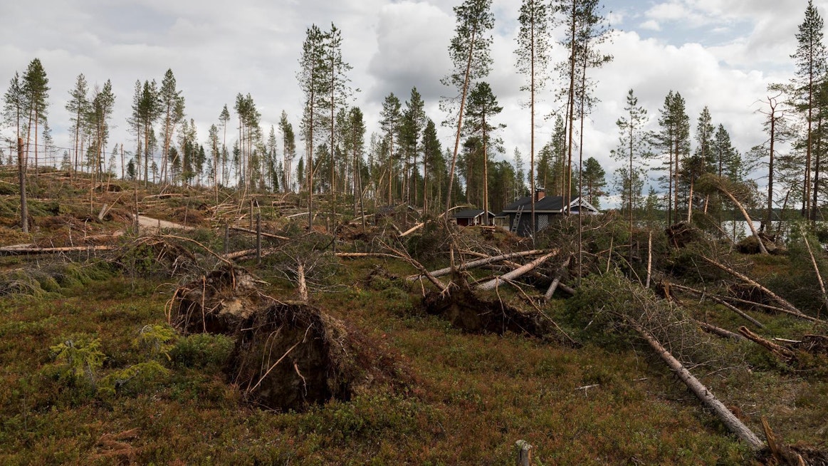 Myrskytuhokohteiden selvittely ja korjuu on hyvässä vauhdissa, mutta tuhoalueen laajuuden vuoksi vain osa tuhokohteista on ehditty kartoittaa ja saattaa korjuuseen, Metsäkeskus kertoo.