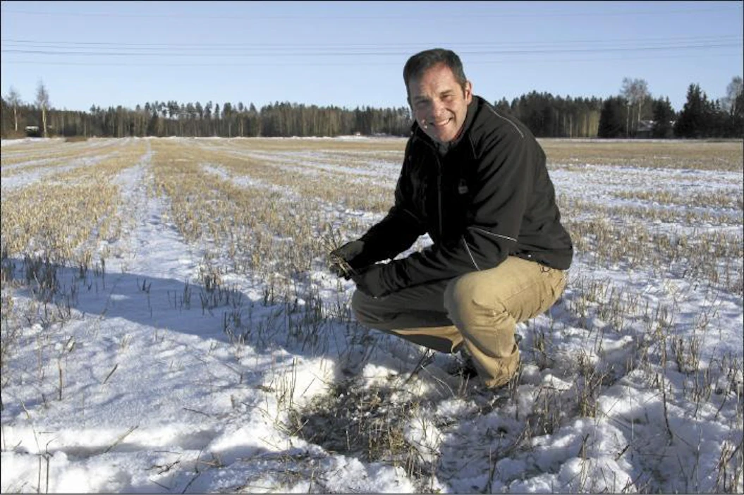 Sänkipellolle kannattaa kylvää välikasvia puinnin jälkeen, toteaa viljelyasiantuntija Kevin Ashford Glenside Organics -yhtiöstä Englannista. Veikko Niittymaa