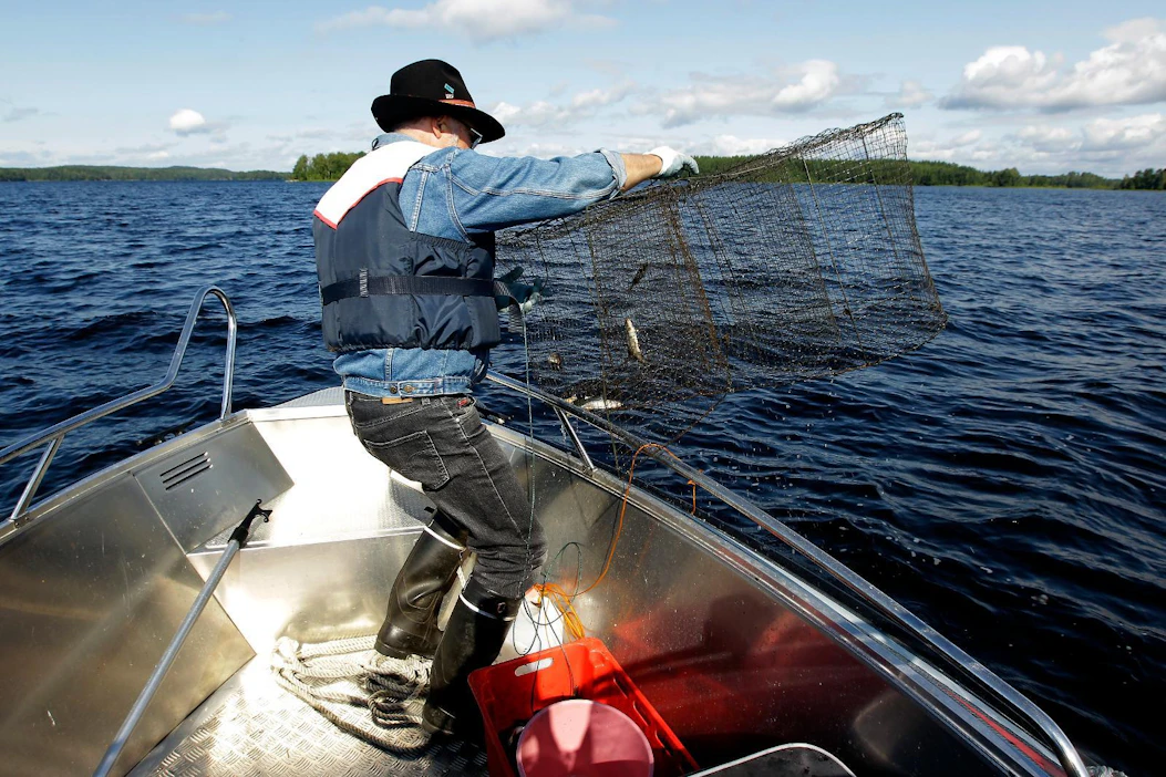 Kalastonhoitomaksuilla avustetaan vuosittain valtakunnallisesti satoja hankkeita, jotka edistävät muun muassa kalavesien kestävää käyttöä.