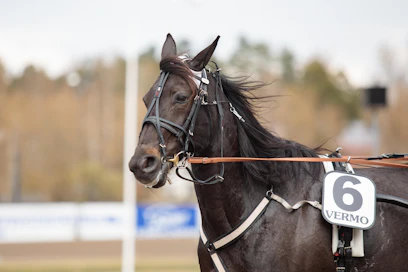 Dimitri Palmroosin treenaama verraton vauhtimylly Lady Luck on voittanut jokaisen kauden neljästä kisastaan näyttävästi. Ennätys on kohentunut tänä vuonna lukemiin 10,6. Keskiviikkona tehtävä tiukkenee, kun vastassa ovat Staro Miami ynnä muut kipakat kilpasiskot.