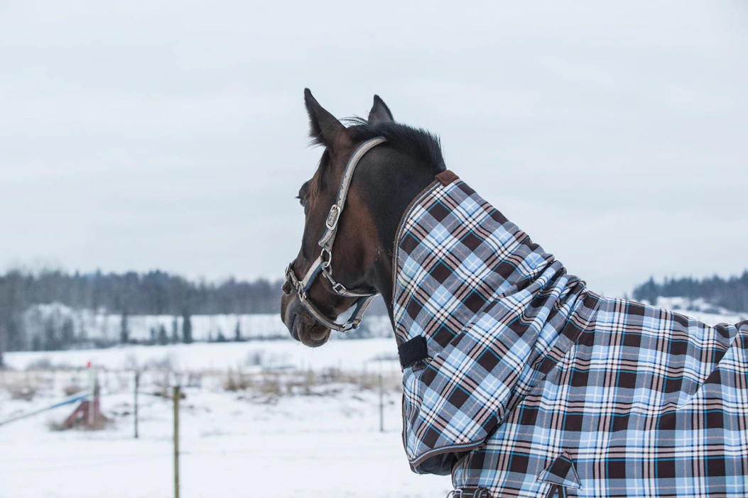 Uudenvuoden ilotulitteet ovat useille hevosille, koirille ja muille eläimille suuri stressi. Ypäjä tähtää ilotuliteettomaksi.