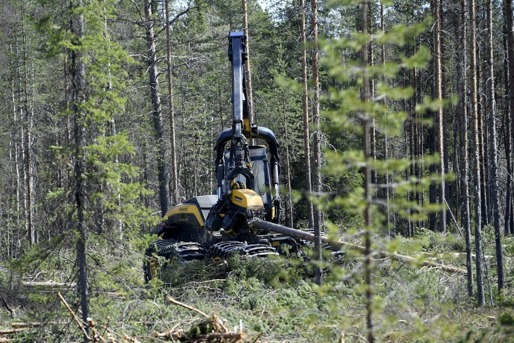 Ei ole itsestäänselvyys, ettei suomalainen metsä pala
