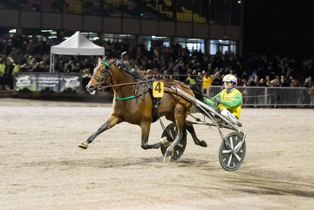 Face Time Bourbon ponnisti Vermosta kohti Vincennesiä ja Prix d'Ameriqueta 2020. Rattailla istuva Björn Goop on ohjissa Vincennesissäkin.
