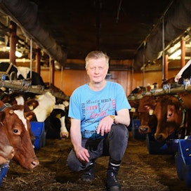 Kujalan maitotilan isäntä Kyösti Muhonen on ollut maatalousyrittäjänä 28 vuotta.