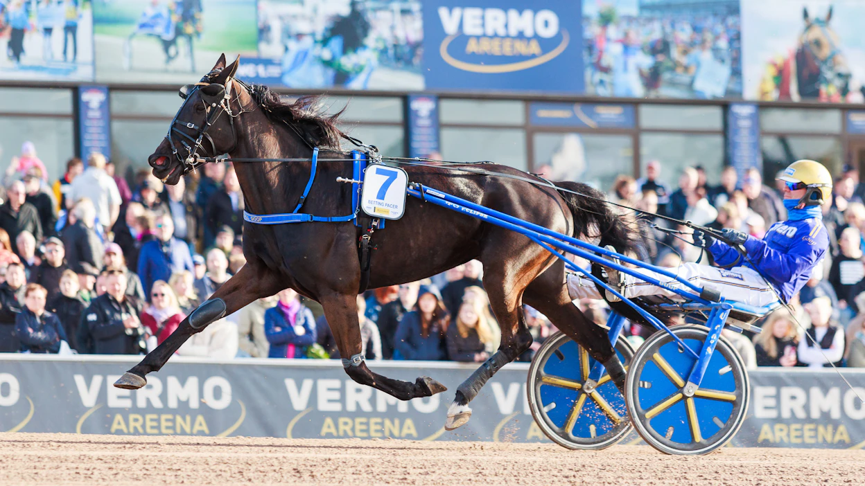Betting Pacer ja Björn Goop kävivät Vermossa toukokuussa, mutta Finlandia-ajossa tuli laukka. Oslossa Bettinng Pacer oli kuitenkin se hevonen, joka toi valmentajalleen uransa ohjastajavoiton numero 8 000.