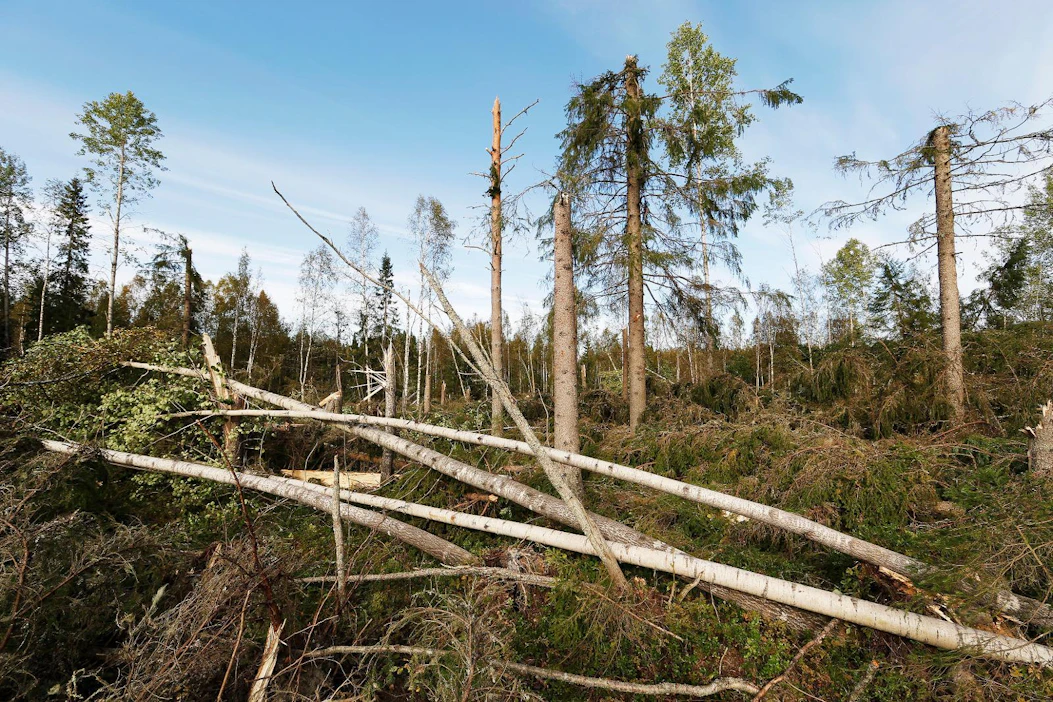 Uusi karttapalvelu yhdistää esimerkiksi maaperä- ja tuulitietoa metsänkäyttöilmoituksiin ja valtion metsien inventoinnissa kerättyyn paikkatietoon. Tiedot yhdistetään tilastolliseen malliin, joka laskee tietyn metsän herkkyyden tuulituhoille.