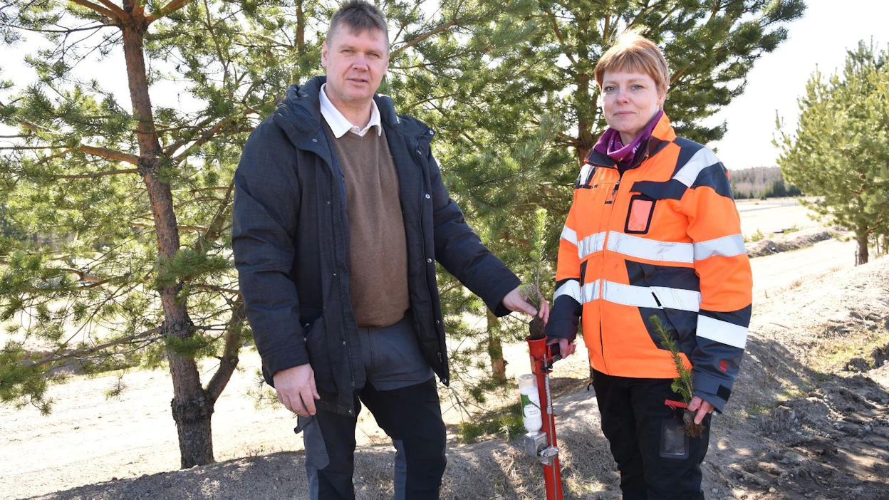 Johan Grönros ja Katja Virtanen Fin Forelialta näyttävät, että Argrow-laite pottiputken yläpäässä ei hidasta istutustyötä. Lannoiterakeet putoavat automaattisesti istutuskuoppaan, kun putken leuat polkaisee auki.