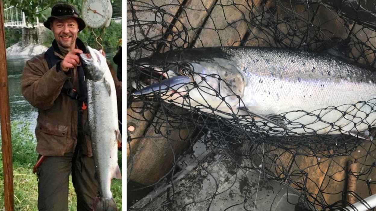 Komea saalis. Jyrki Hollmén pääsi poseeraamaan kalan kanssa useampaan kertaan Norjan Namsen-joen rannalla. Kuvan lohi on 9-kiloinen.