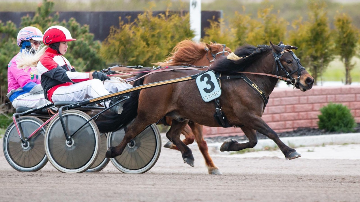 Arkistokuva poniraveista Vermosta.