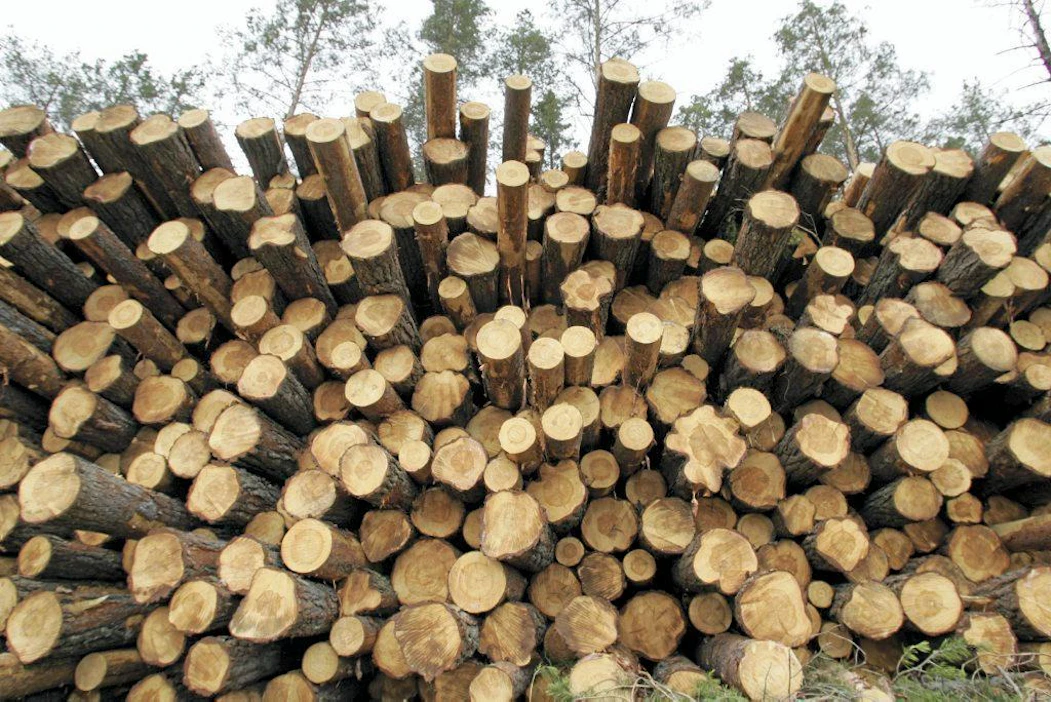 Hakkuukieltoa ei maakuntakaavaan valmistelluille soiden suojelun täydennysesityksen kohteille voi asettaa. Uudenmaan ely-keskus pahoittelee metsänomistajalle, hänen asiamiehelleen ja puukauppaa tekemässä olleelle metsäyhtiölle lähettämäänsä "epäselvää sähköpostiviestiä".