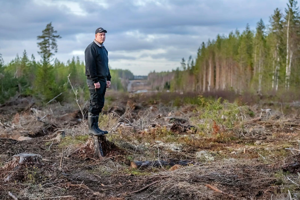 Kosti Hållfast silmäili viime lauantaina Lapväärtissä käytävää, joka on hakattu tuulivoimalan siirtolinjaa varten.