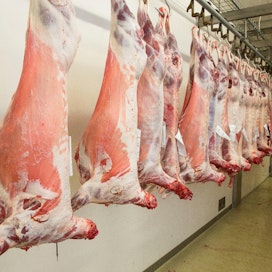 Liha-ala ei ole Hirvijärven mukaan tiedottanut teurastukseen liittyvistä asioista niin paljon kuin olisi mahdollista.