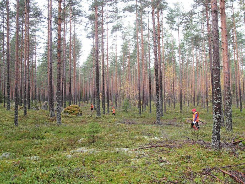 Hirvijahtikausi alkaa suurimmassa osassa maata tavanomaista myöhemmin eli vasta lokakuun toisena lauantaina.