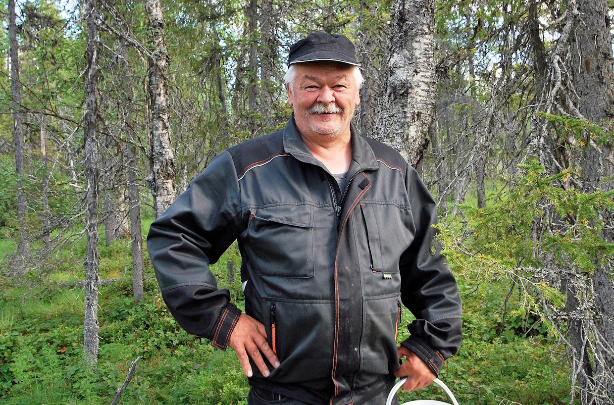 Poromies Alpo Laitila kertoo, että hyvä hillapaikka saattaa löytyä metsäautotien läheisyydestäkin.