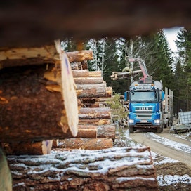 Metsäalan kuljetusyrittäjien näkemyksen mukaan alempiasteinen tieverkosto ei kestä edes nykyisiä 76-tonnisia yhdistelmiä. Lieksassa kuormattiin puuta lokakuun lopulla.
