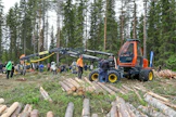Näyttelyssä oli esillä kolmas Ruotsissa valmistunut Profi 54 -harvesteri, kaksi edellistä on jo toimitettu asiakkaille. Nosturina on nyt Kesla 1611. Näyttelyn yksilössä myös hakkuupää oli Keslan valmistama 20 RHII ProAX. Profin valmistusta jatkaa Uumajan seudulla toimiva Profi Production AB. Suomessa Profia edustaa Vörå Maskin &amp; Traktor Vöyristä.