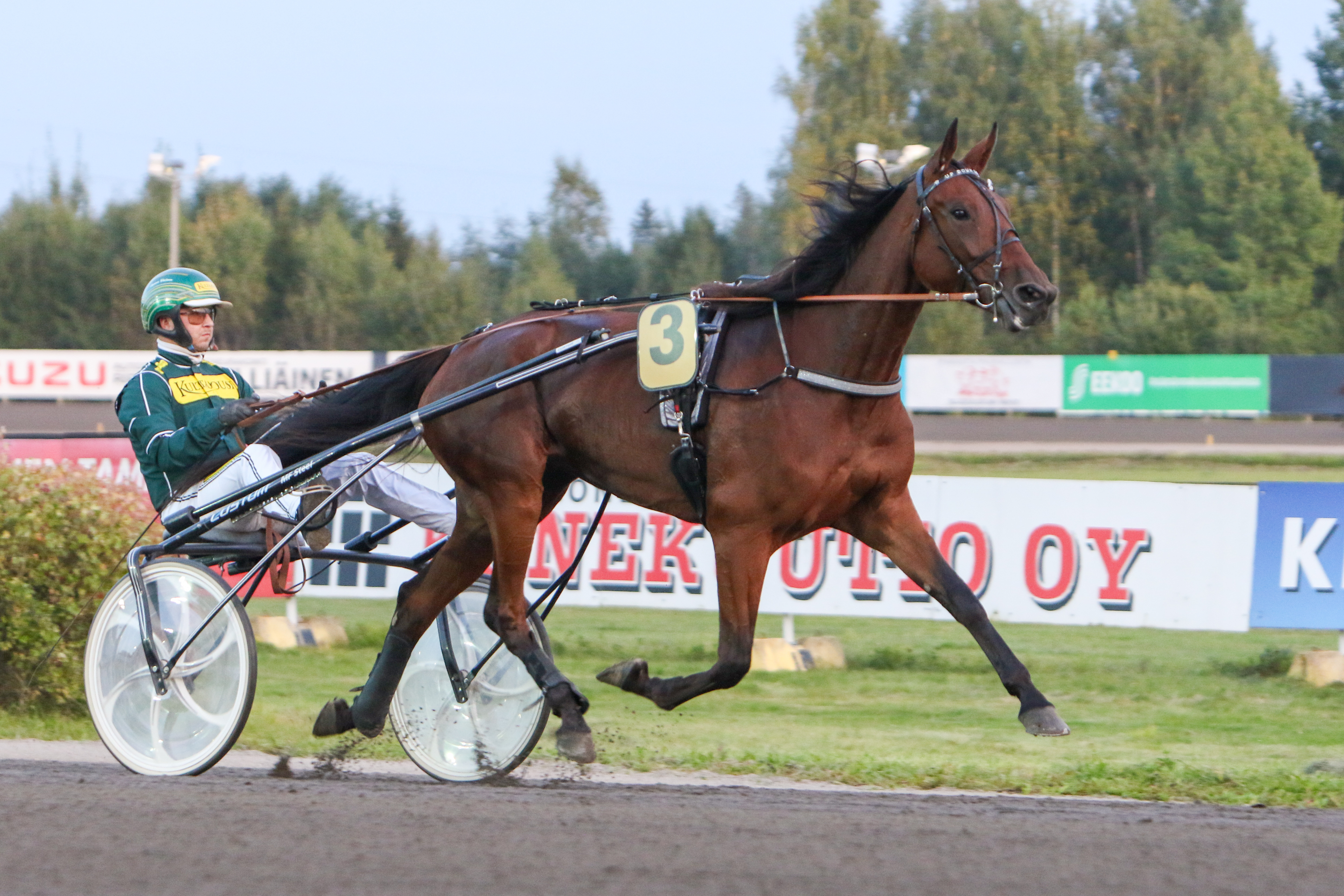 Up Down Lily on voittanut tällä kaudella jo yhdeksän kertaa. Hannu Torvinen jatkaa ohjissa myös Vermossa.