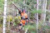 Aku Äijö kerää kaatamiaan energiarankoja metsästä ajouran varrelle pinoihin. Tällä kohteella kuitupuun mitat täyttävää ainespuuta olisi kertynyt niin vähän, että kaikki puu myydään energiaksi.